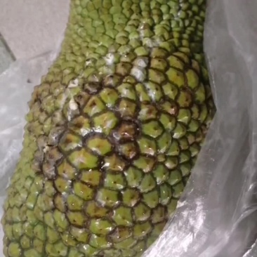 榴莲蜜