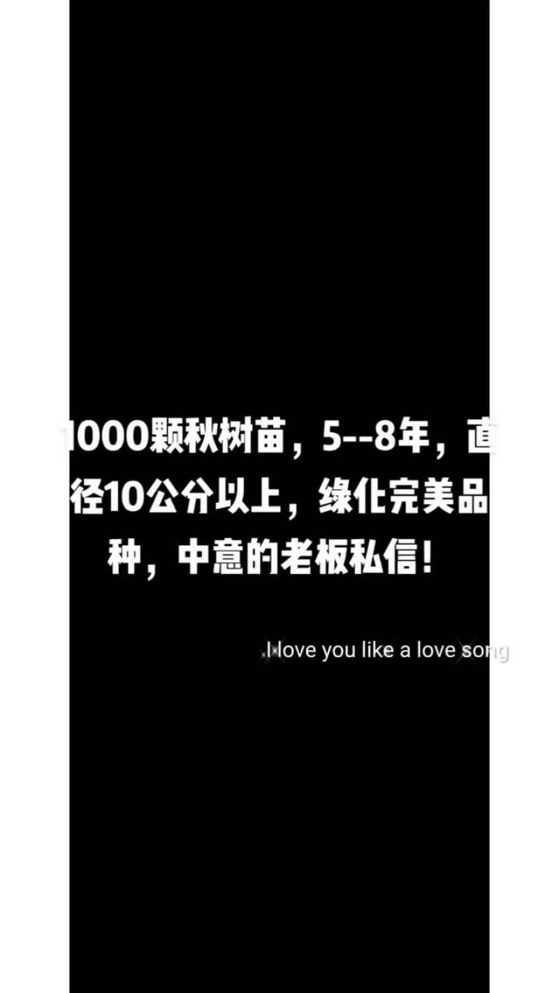 秋树
