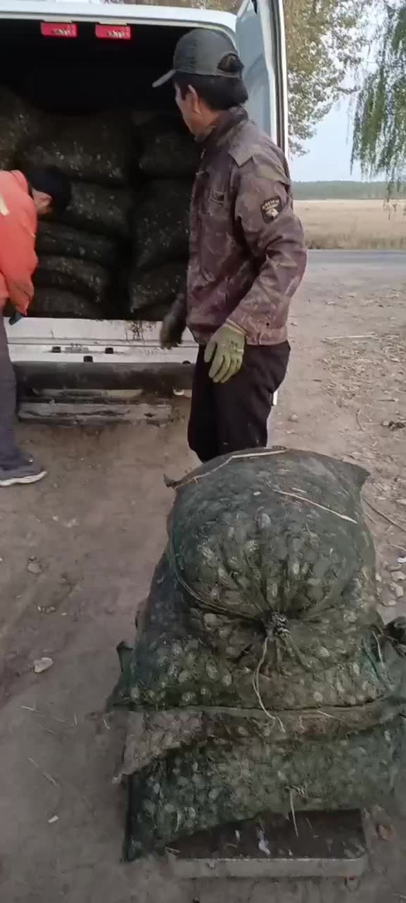 盘锦优质扣蟹