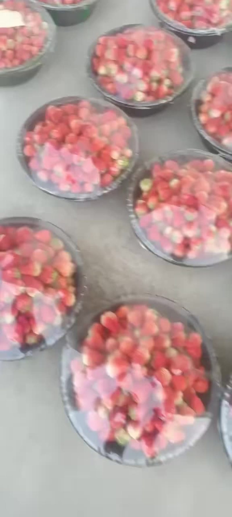 红颜草莓