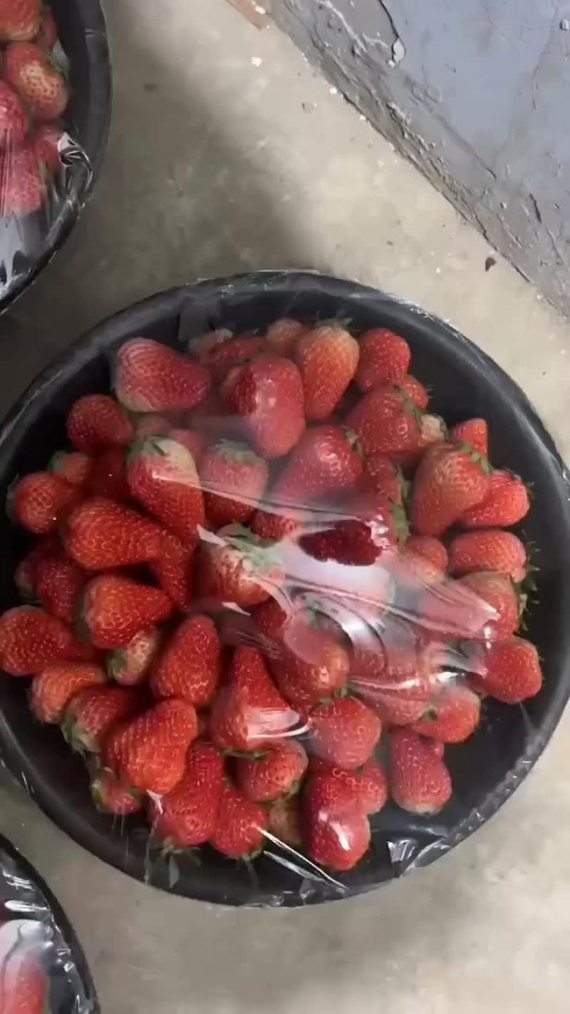 红颜草莓
