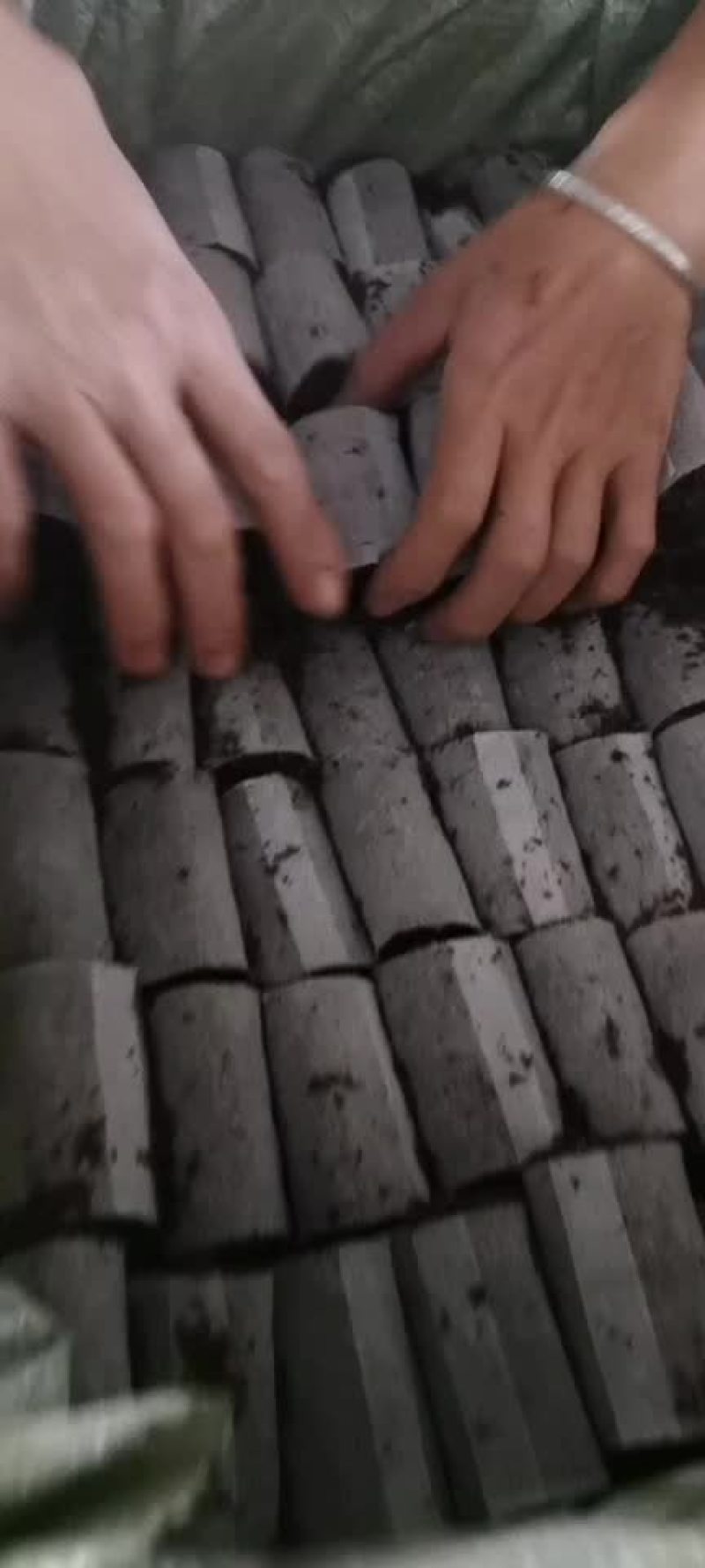 育苗杯