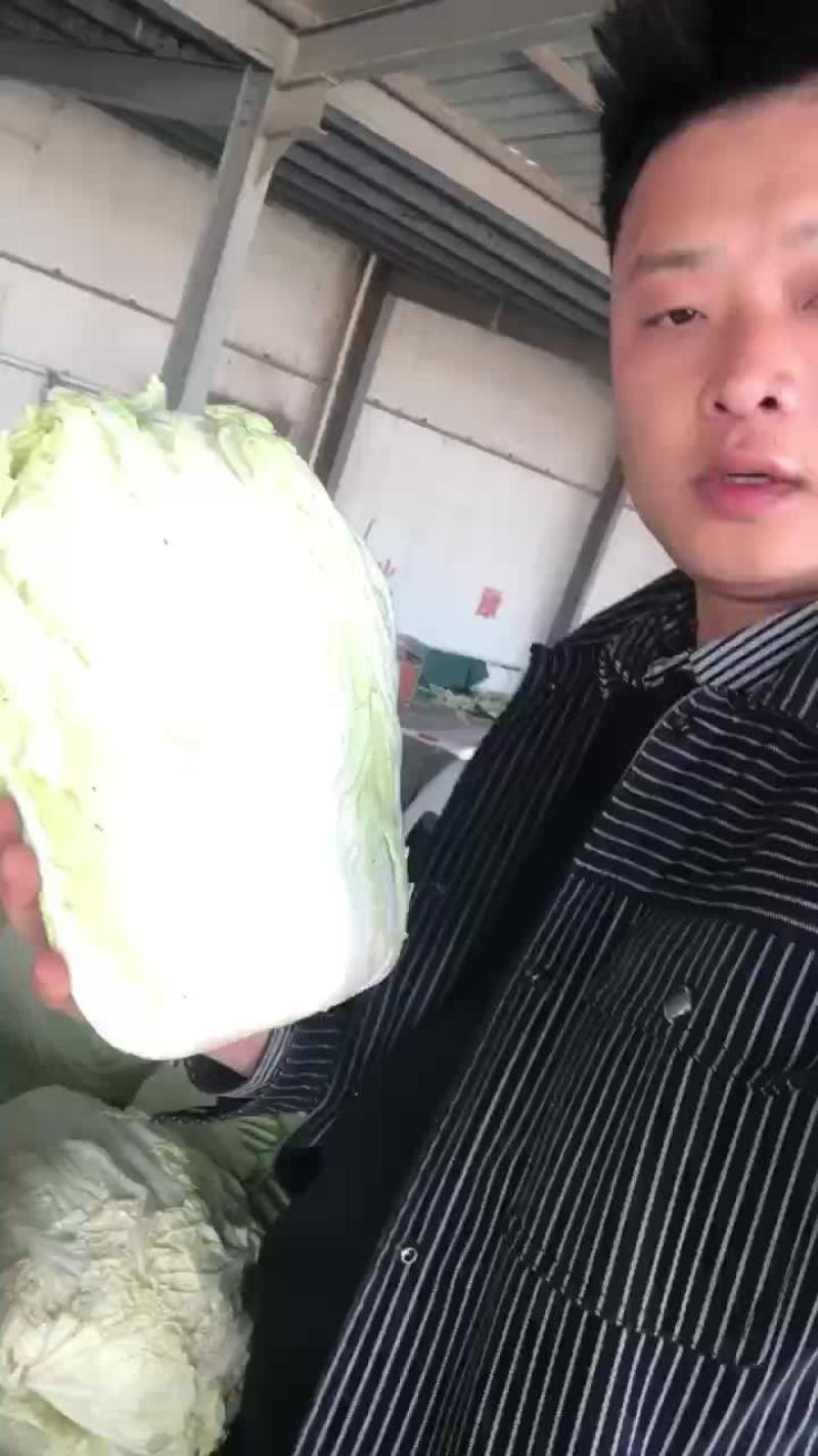 精品库存白菜，价格合适，质量好