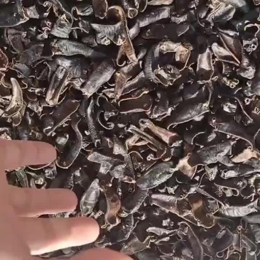 清水吊干，一手货源，几个小兄弟一起干的欢迎各位老板采购