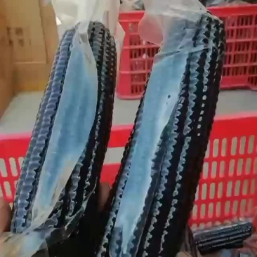 黑玉米