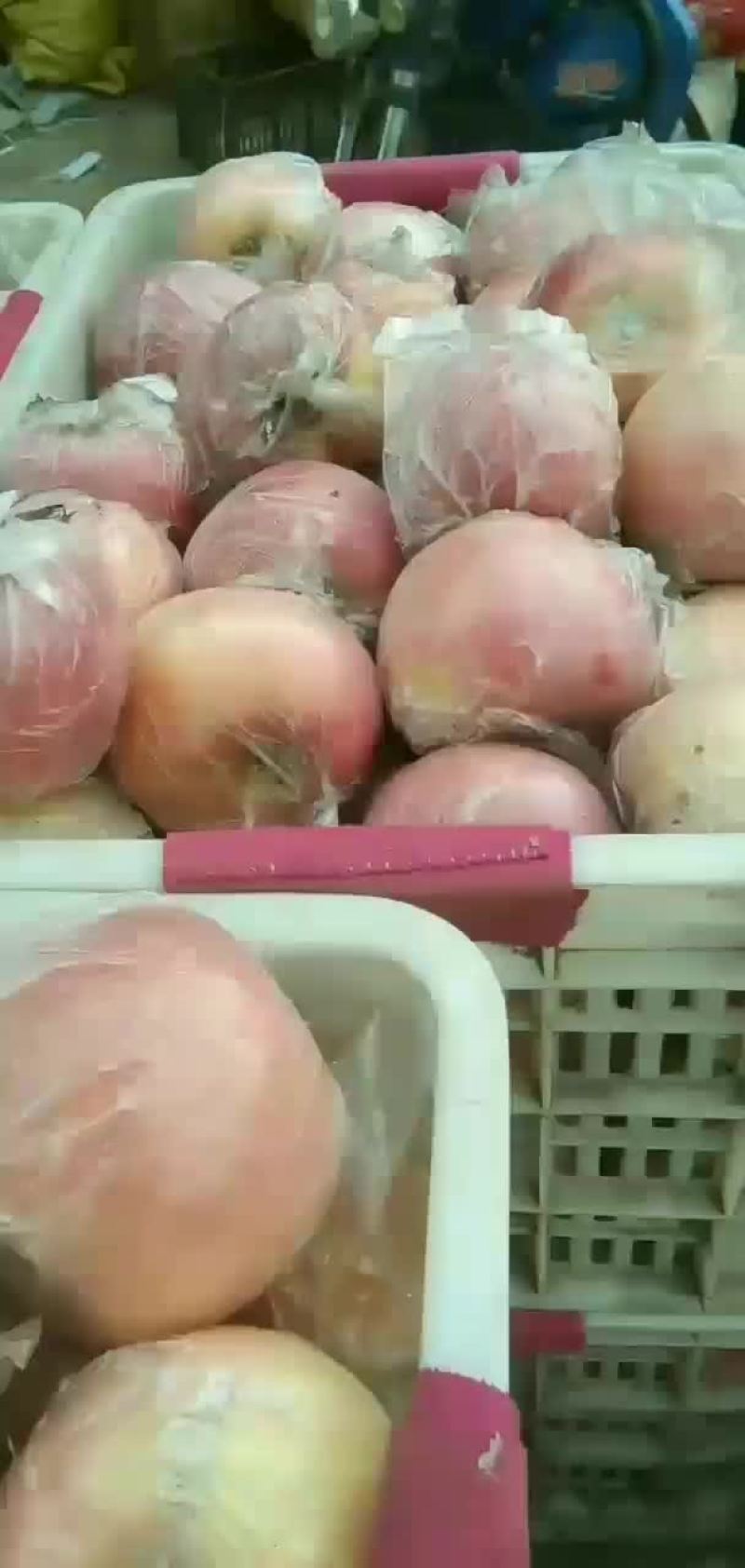 大量供应临猗冰糖心红富士苹果，箱装，筐装，大铁筐降价处理