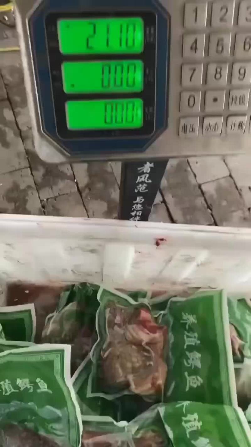 鳄鱼肉批发，商品鳄鱼，量大从优，支持全国发货