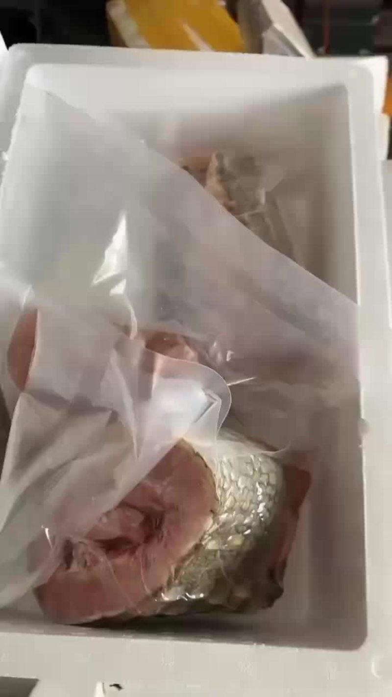 鳄鱼肉批发，商品鳄鱼，量大从优，支持全国发货