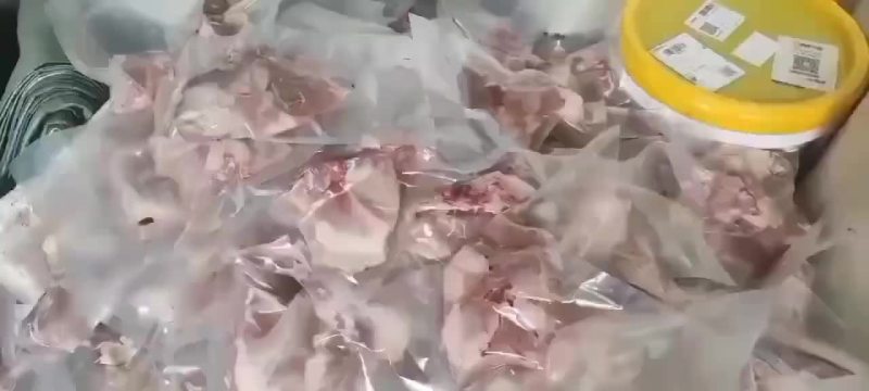 鳄鱼肉批发，商品鳄鱼，量大从优，支持全国发货
