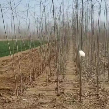 14大量
