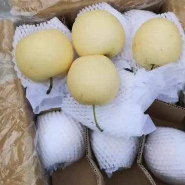 梨