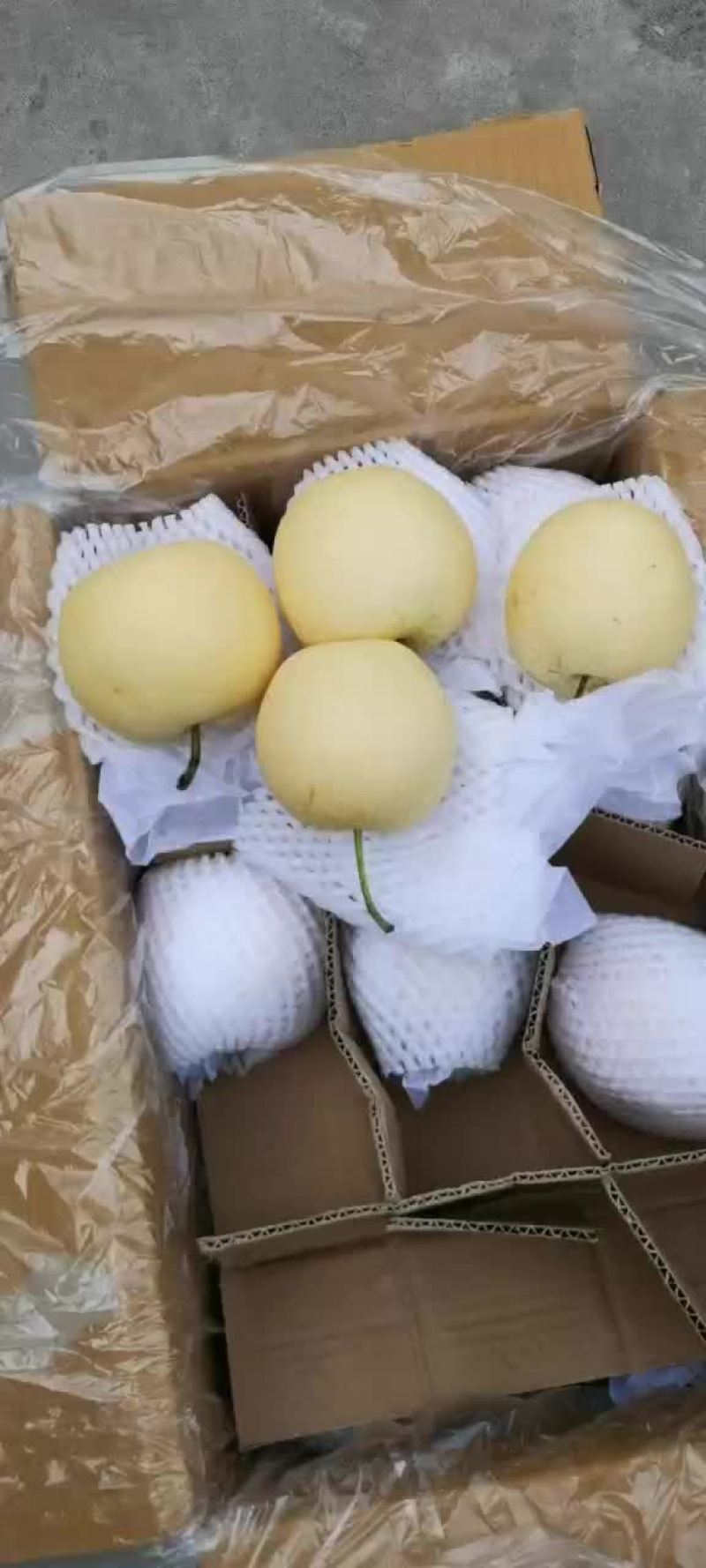 梨