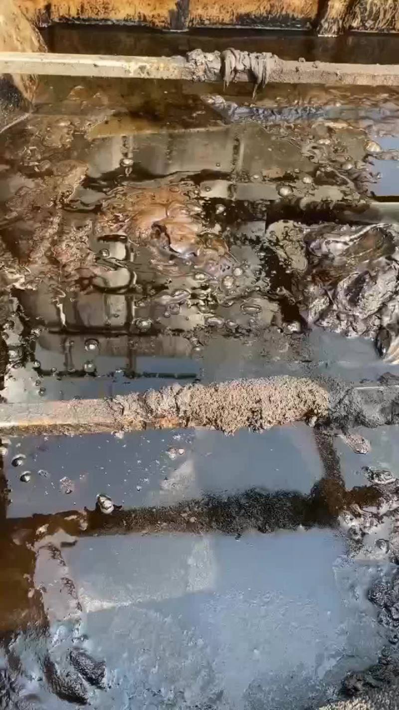 大量出售大豆植物油泥胡麻油油泥适合饲料肥料添加