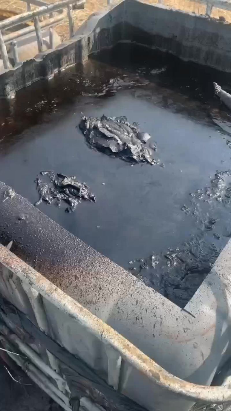 大量出售大豆植物油泥胡麻油油泥适合饲料肥料添加