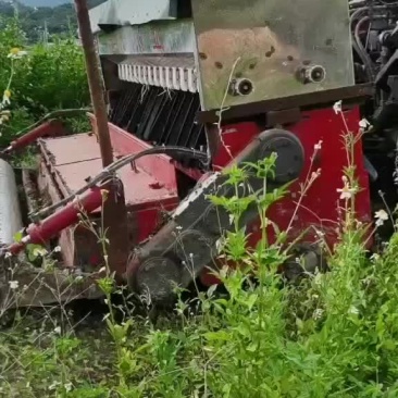 打田机出租播种