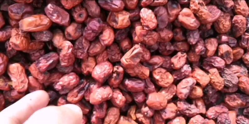 浆枣烂枣枣汁专用红枣食品厂原料金丝枣烂枣打枣泥用烂枣