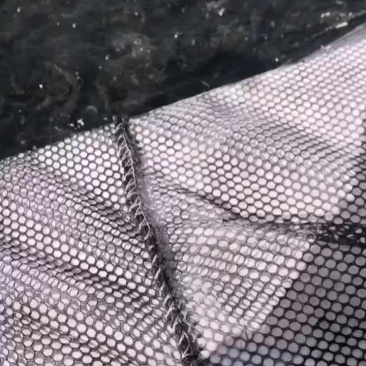草鱼
