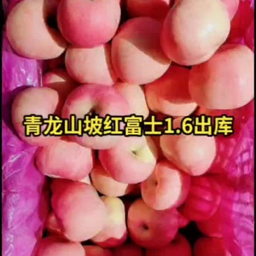 冷库红富士