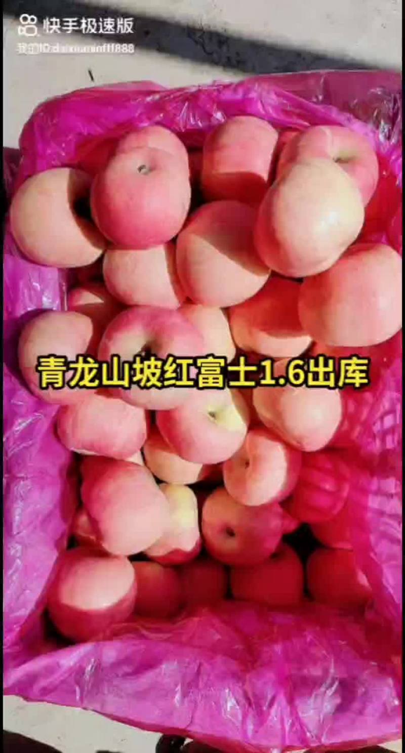 冷库红富士