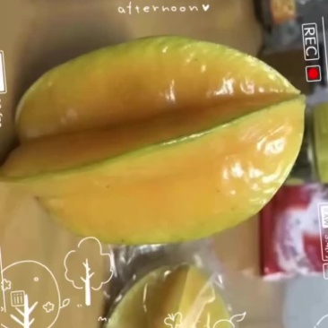 杨桃代办
