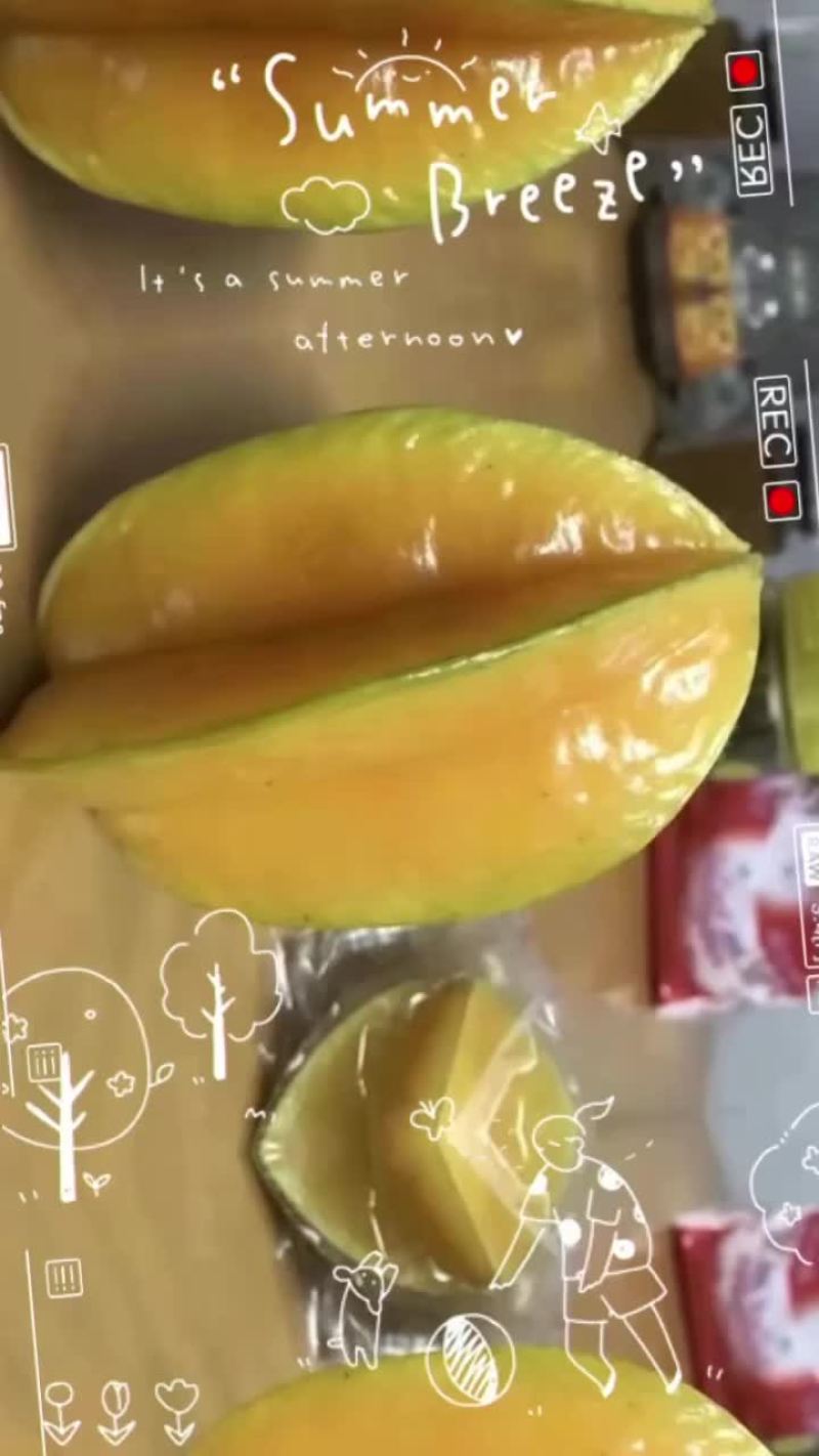 杨桃代办