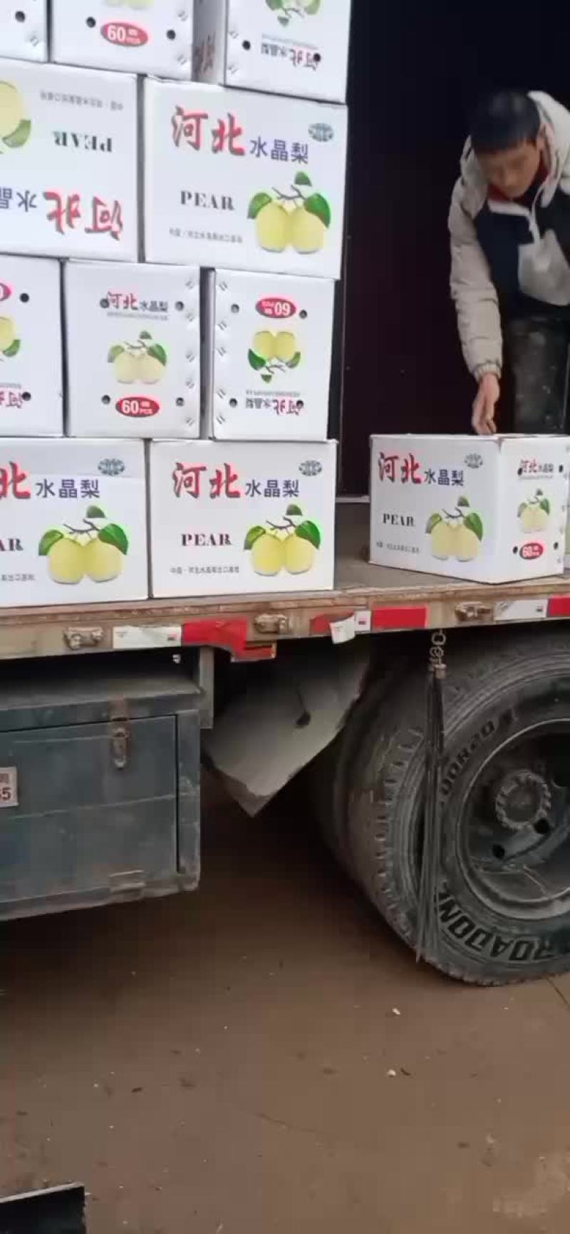 雪梨