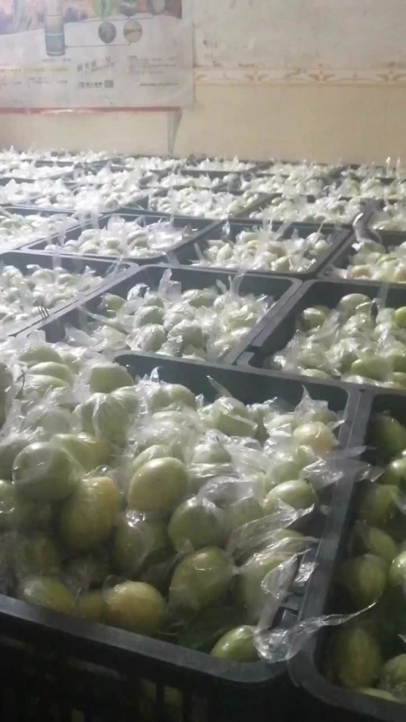 平南蜜丝枣大青枣