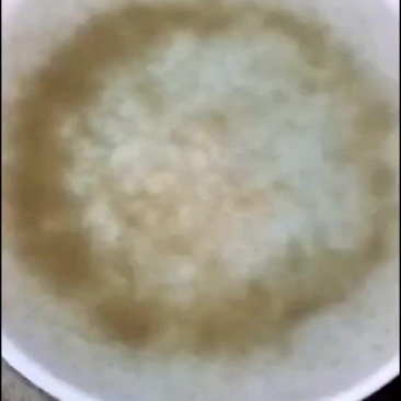 四大家鱼水花（白鲢，花鲢，鲫鱼，草鱼）洪湖本地孵化优质水