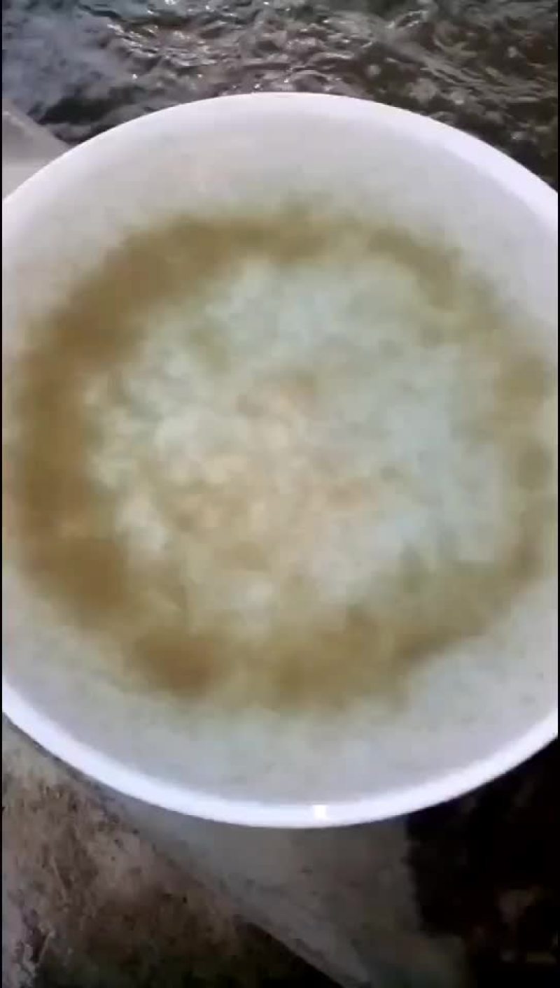 四大家鱼水花（白鲢，花鲢，鲫鱼，草鱼）洪湖本地孵化优质水