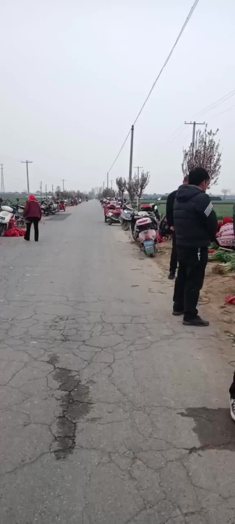 蒜苗有货要的联系