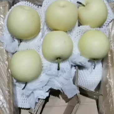 黄冠