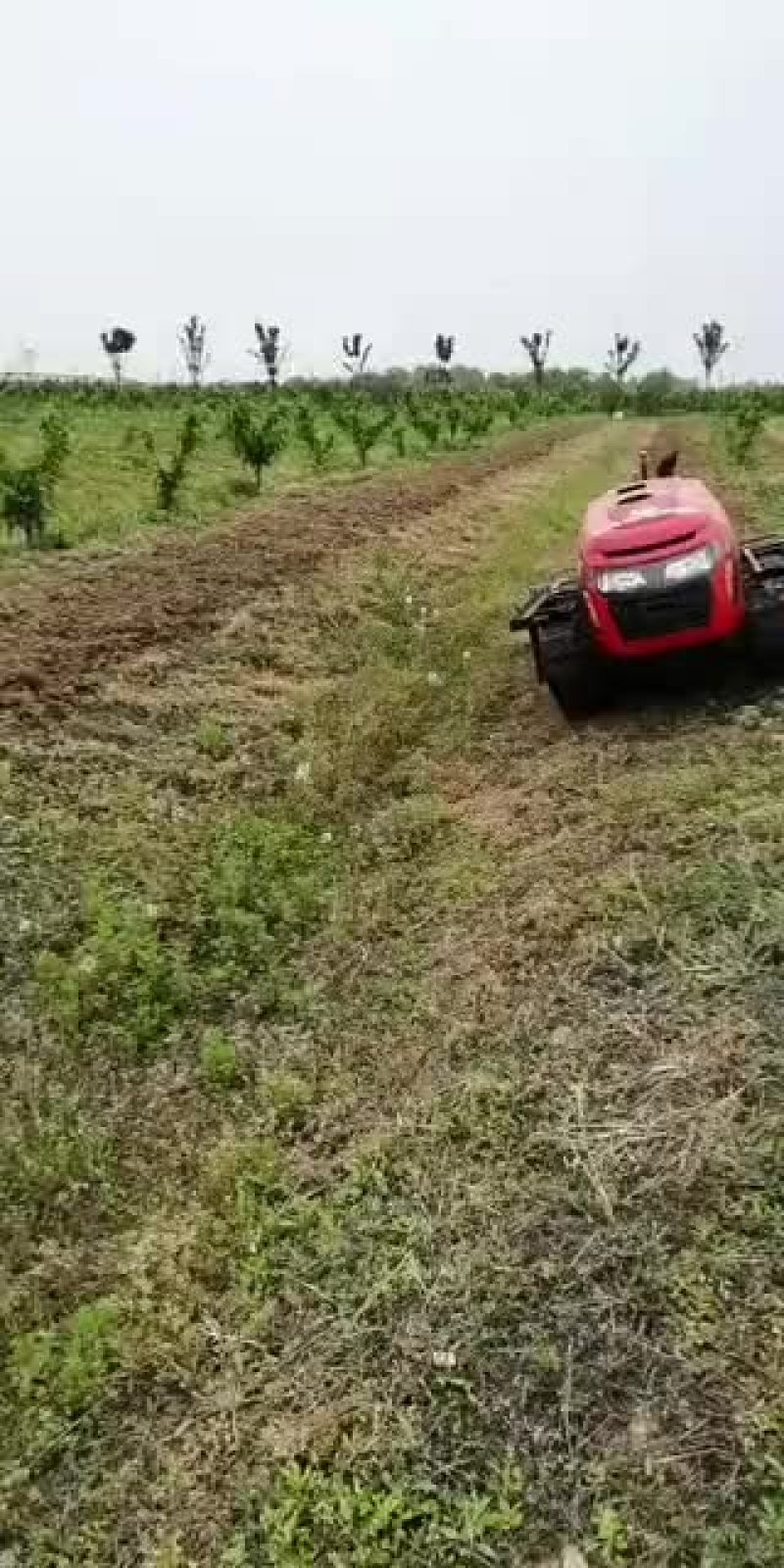 履带遥控开沟机