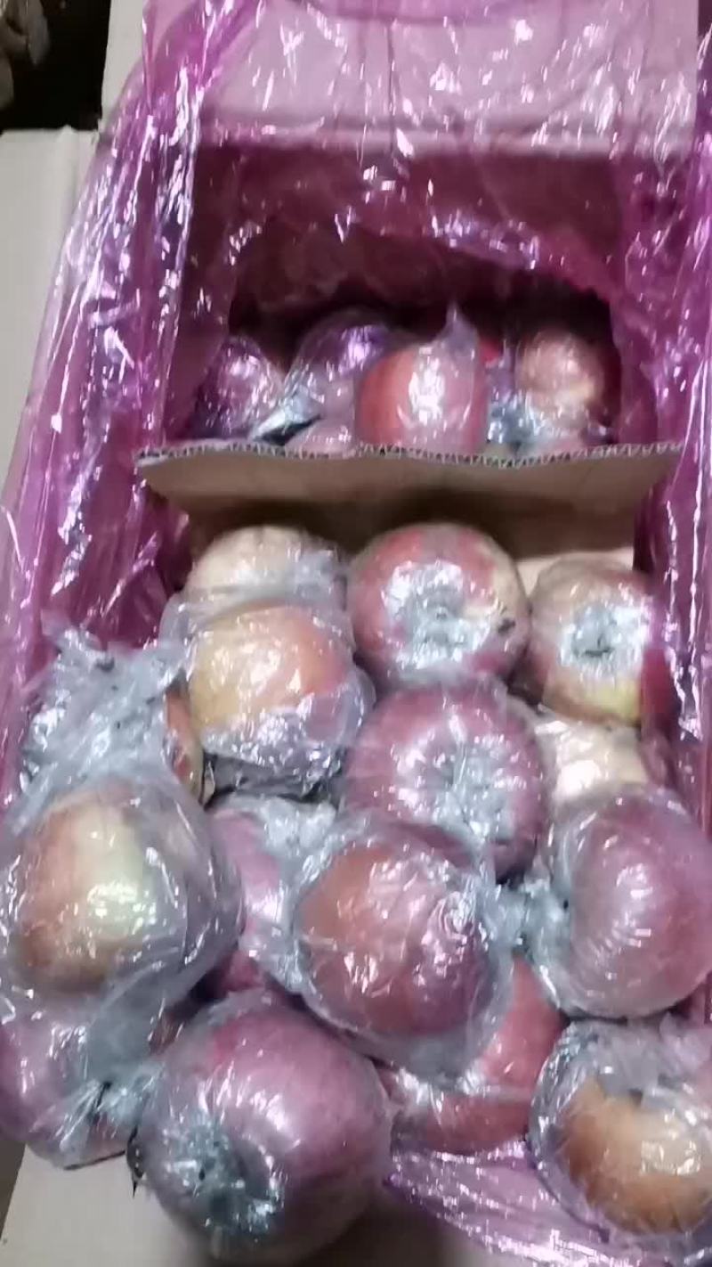 红富士苹果