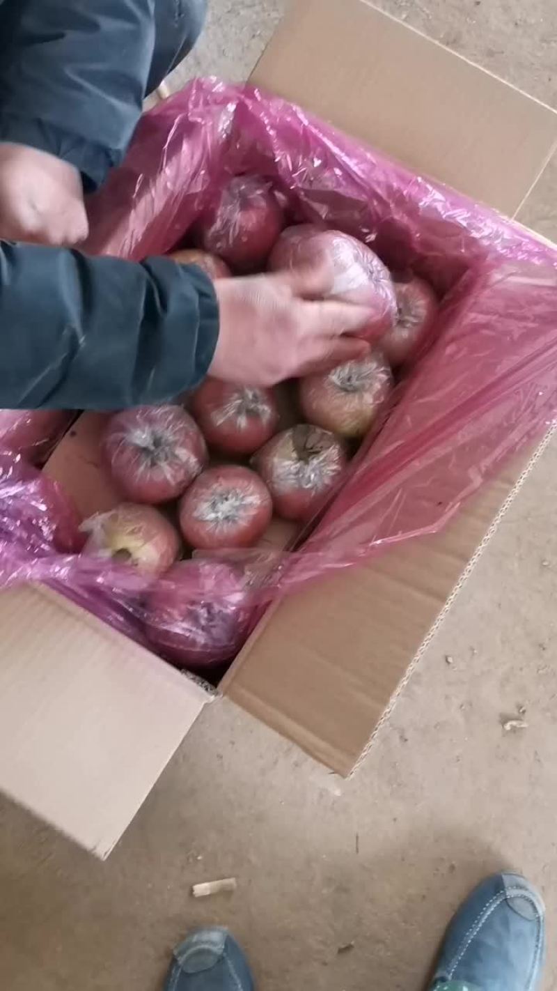 红富士苹果