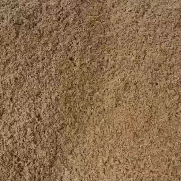 啤酒糟