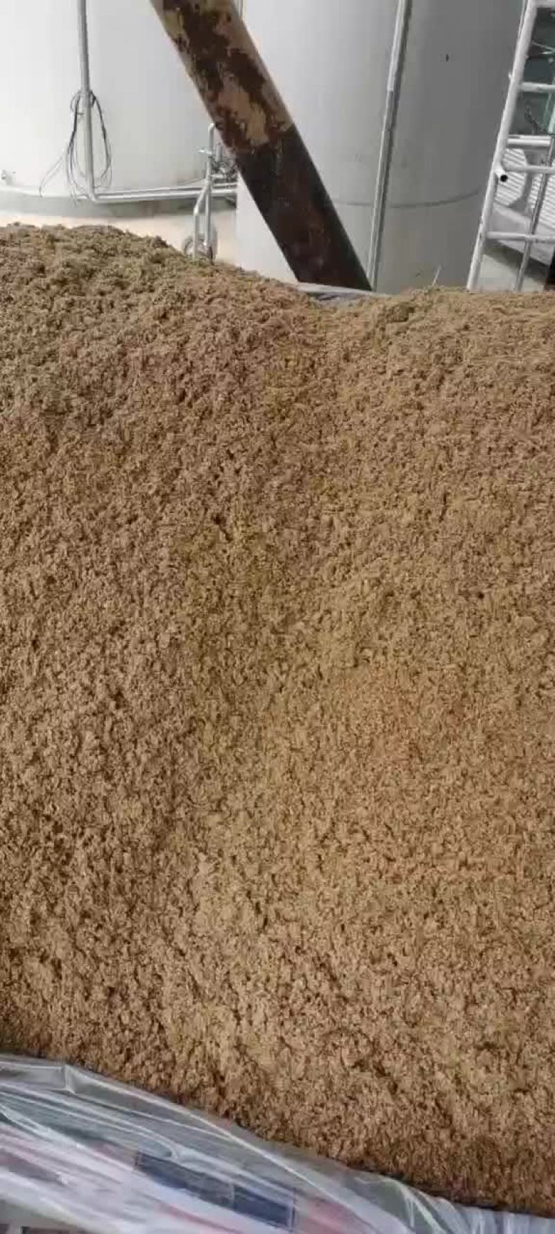 啤酒糟