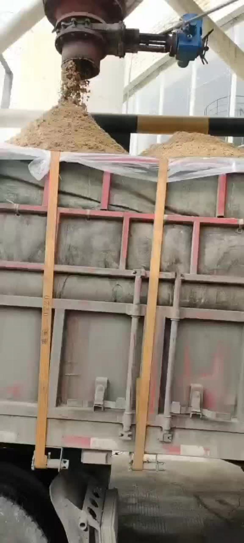 啤酒糟