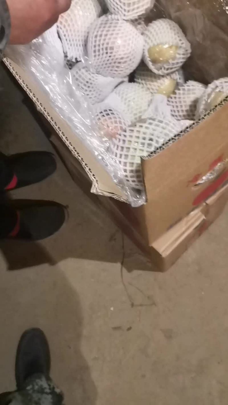 山西红富士