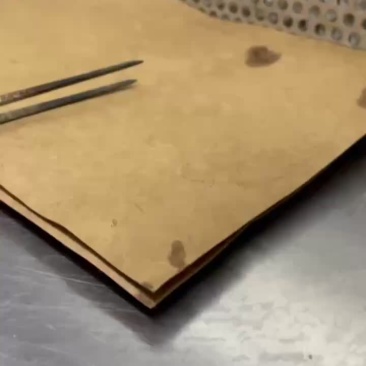大青，陆河青，大白，中白木瓜组培苗，正宗江门苗，红肉