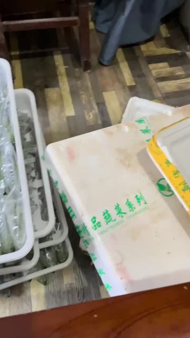 大青，陆河青，大白，中白木瓜组培苗，正宗江门苗，红肉