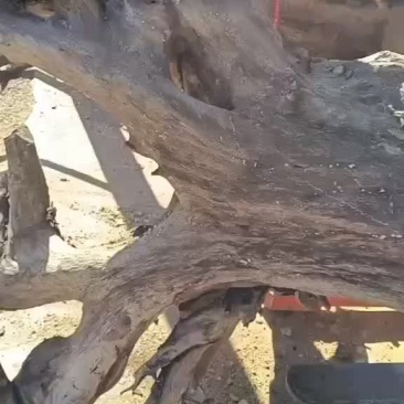 加工出售各种木材的茶板，茶盘，根雕等……价格便宜