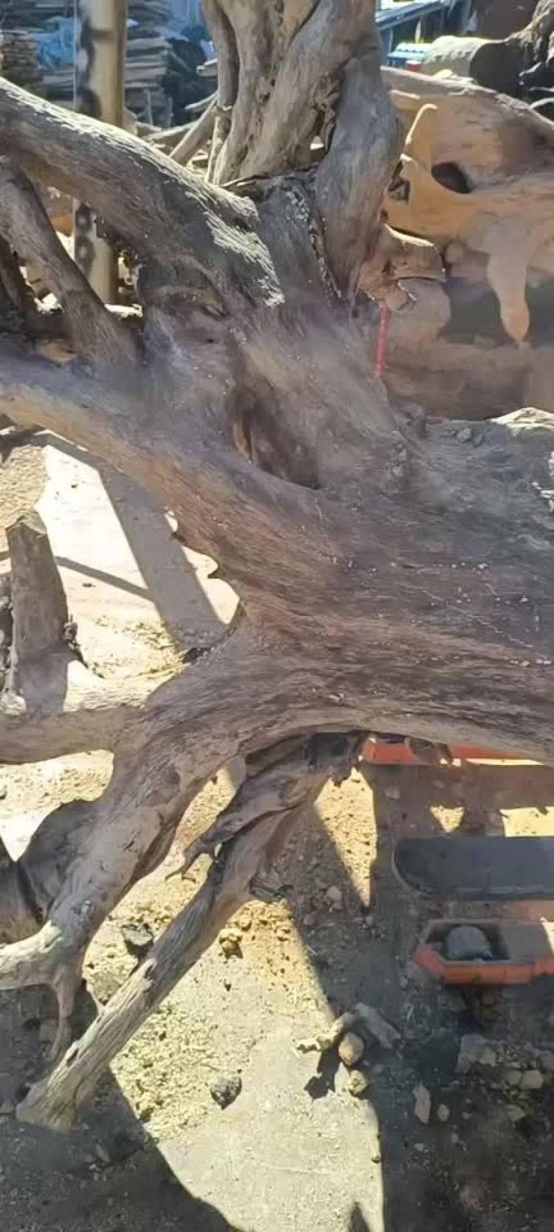 加工出售各种木材的茶板，茶盘，根雕等……价格便宜
