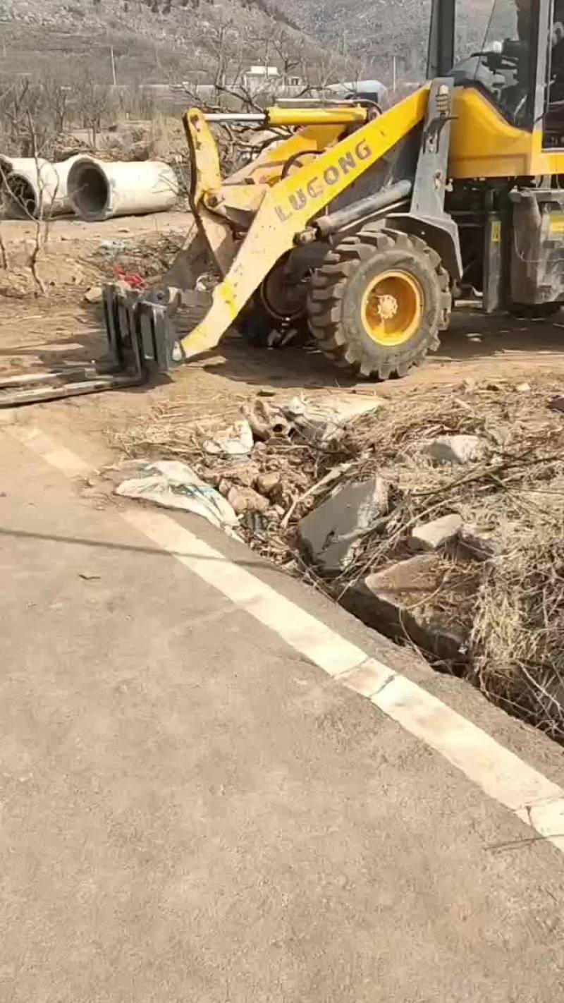 15公分石榴树老桩景观园林绿化