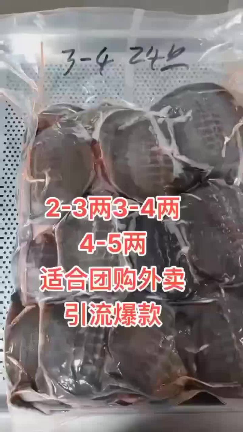 外塘网红麻辣小甲鱼批发，卤甲鱼规格，基地直发