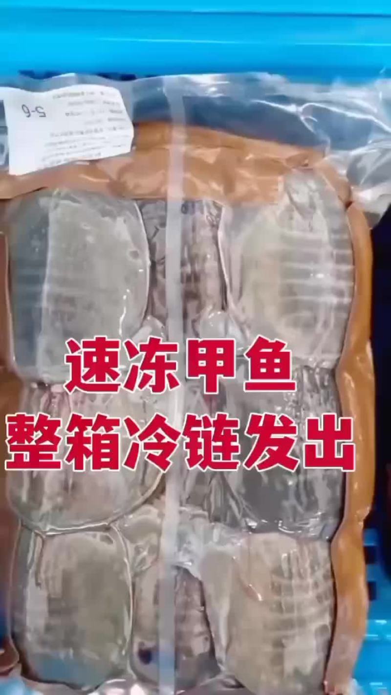 外塘网红麻辣小甲鱼批发，卤甲鱼规格，基地直发