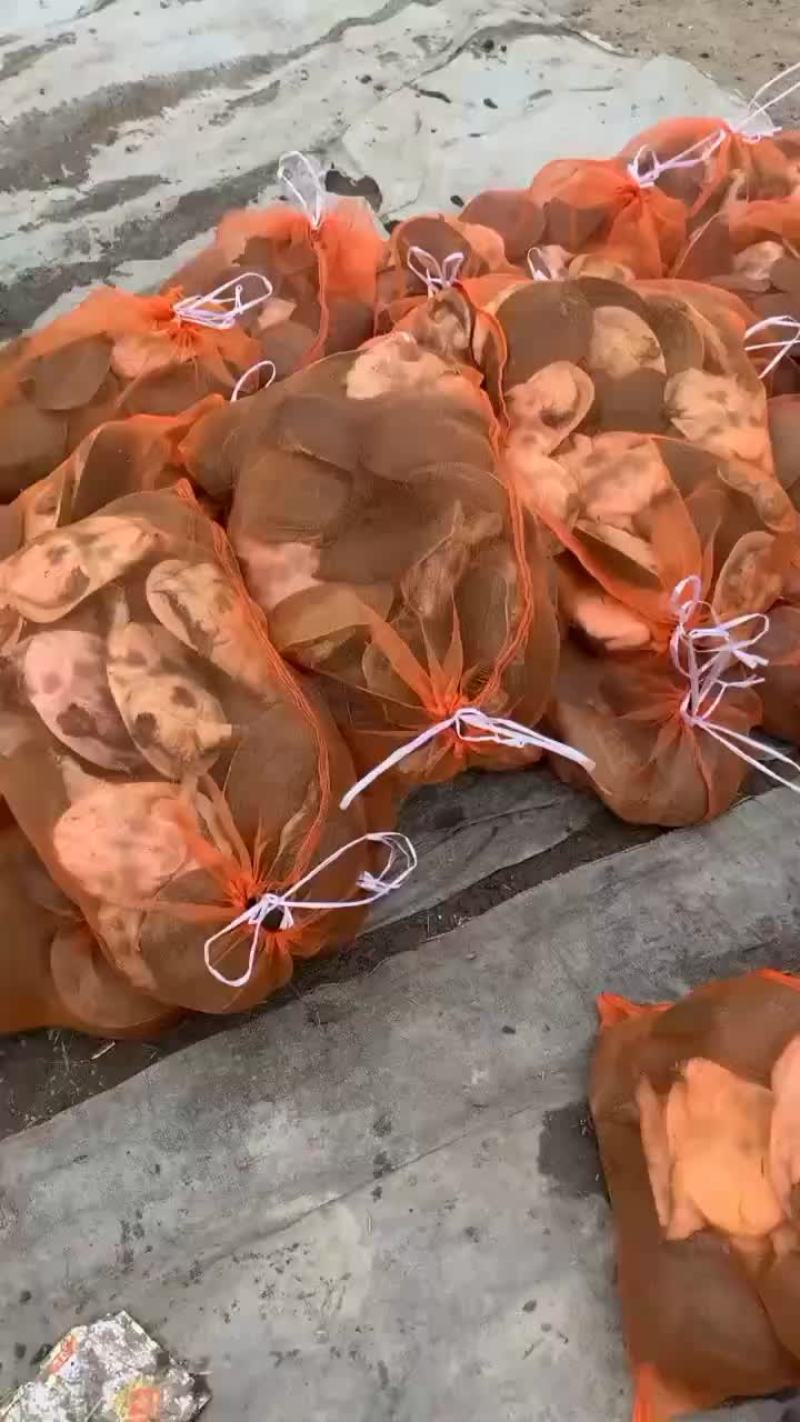 外塘网红麻辣小甲鱼批发，卤甲鱼规格，基地直发