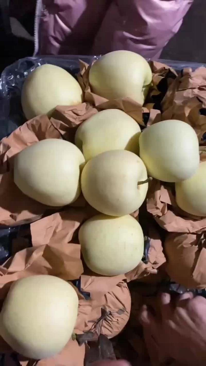 黄元帅苹果金帅苹果金乃生苹果黄香蕉苹果精品带纸
