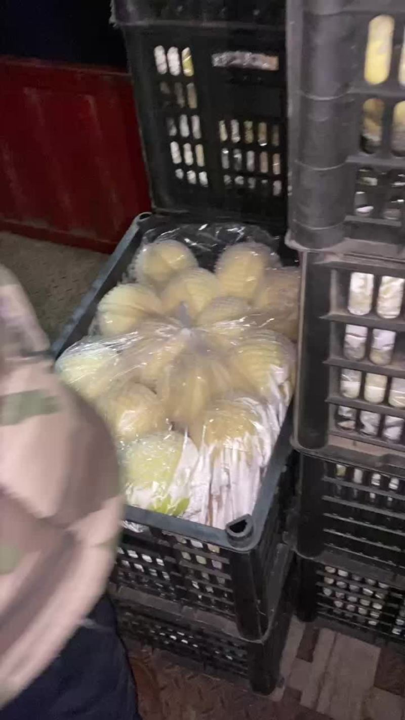 黄元帅苹果金帅苹果金乃生苹果黄香蕉苹果精品带纸