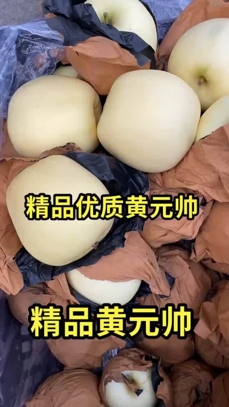 黄元帅苹果金帅苹果金乃生苹果黄香蕉苹果精品带纸