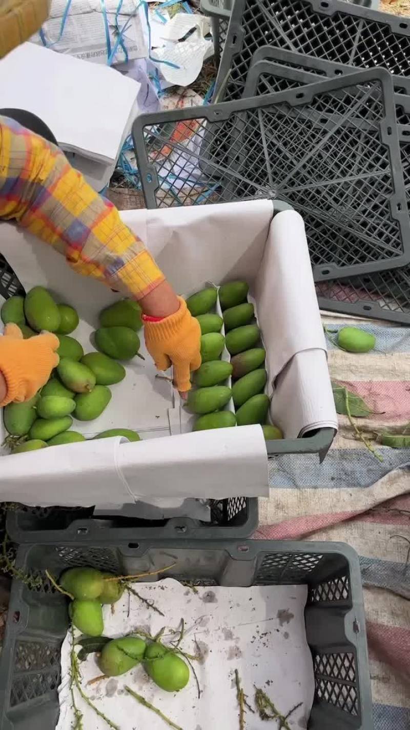 中上货，走市场